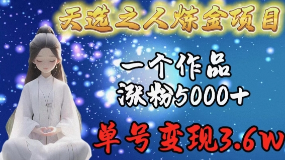 天选之人炼金项目，一个作品涨粉5000+，单号变现3.6w【揭秘】-棋牌资源站