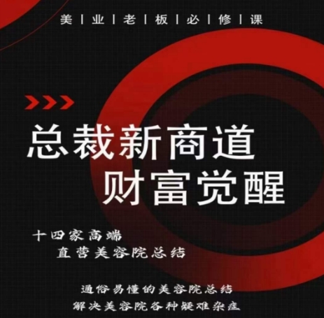 总裁新商道(美业老板必修课)，通俗易懂的美容院总结，解决美容院各种疑难杂症-棋牌资源站