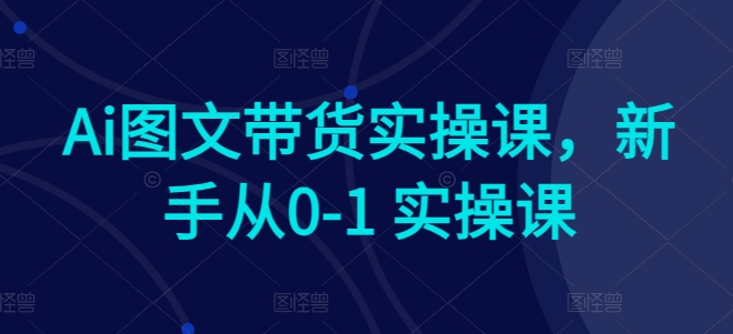 Ai图文带货实操课，新手从0-1 实操课-棋牌资源站