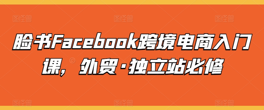 脸书Facebook跨境电商入门课，外贸·独立站必修-棋牌资源站