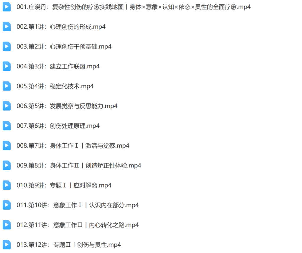 复杂性创伤的多元疗愈之道20讲插图1 复杂性创伤的多元疗愈之道20讲插图1