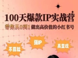 小红书100天爆款IP实战营，带你从0到1做出高价值的小红书号-棋牌资源站