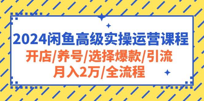 2024闲鱼高级实操运营课程：开店/养号/选择爆款/引流/月入2万/全流程-棋牌资源站