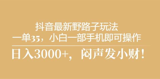 抖音最新野路子玩法，一单35，小白一部手机即可操作，日入3000+，闷声发小财！-棋牌资源站