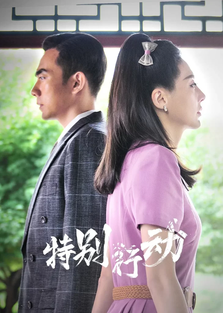 【电视剧】特别行动 2024 历史谍战战争 夏德俊 刘艺丹 姜超 主演 更新6集-棋牌资源站