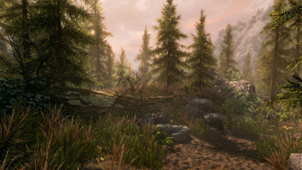 《上古卷轴5：周年纪念版/上古卷轴5：天际10周年重制版/The Elder Scrolls V: Skyrim Special Edition》V1.6.1179.0.8|官方繁体中文|支持键鼠.手柄|容量30GB-棋牌资源站