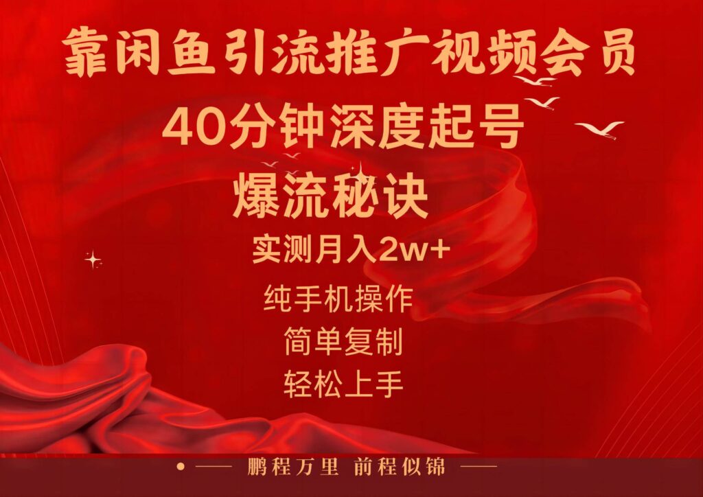 闲鱼暴力引流推广视频会员，能做到日入2W+，操作简单-棋牌资源站