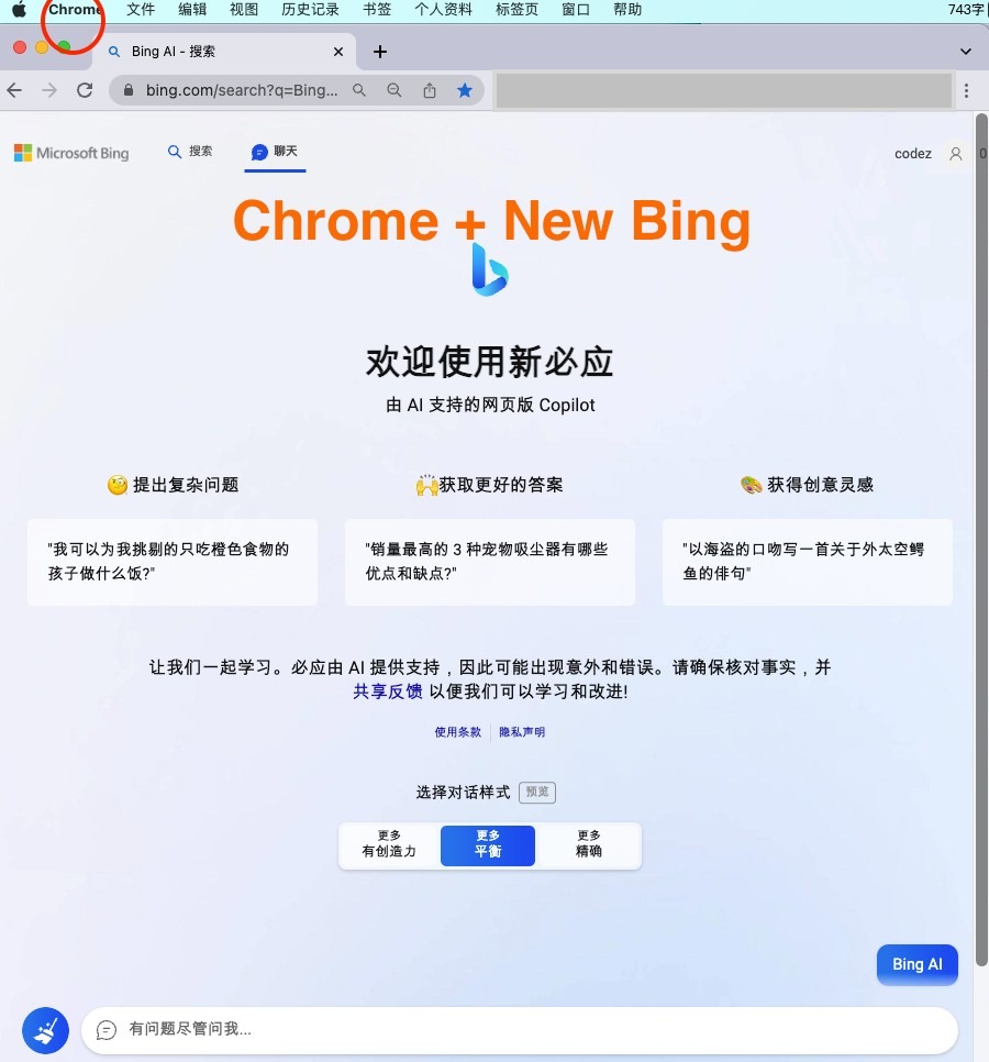 微软New Bing完美聊天机器人源码，支持ChatGPT提示词 国内可用，基本兼容微软 Bing AI 所有功能-棋牌资源站