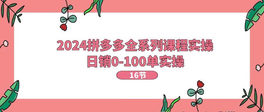 2024拼多多全系列课程实操，日销0-100单实操【16节课】-棋牌资源站