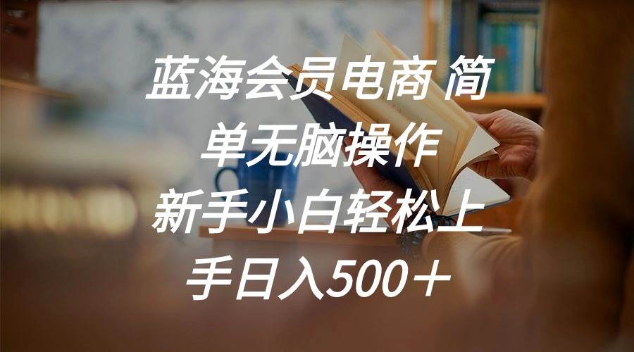 蓝海会员电商 简单无脑操作 新手小白轻松上手日入500＋-棋牌资源站