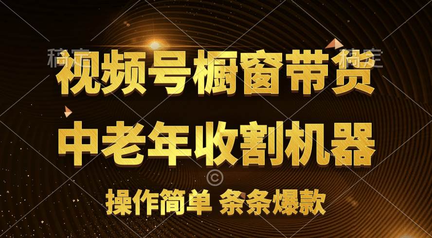 [你的孩子成功取得高位]视频号最火爆赛道，橱窗带货，流量分成计划，条条原创爆款-棋牌资源站