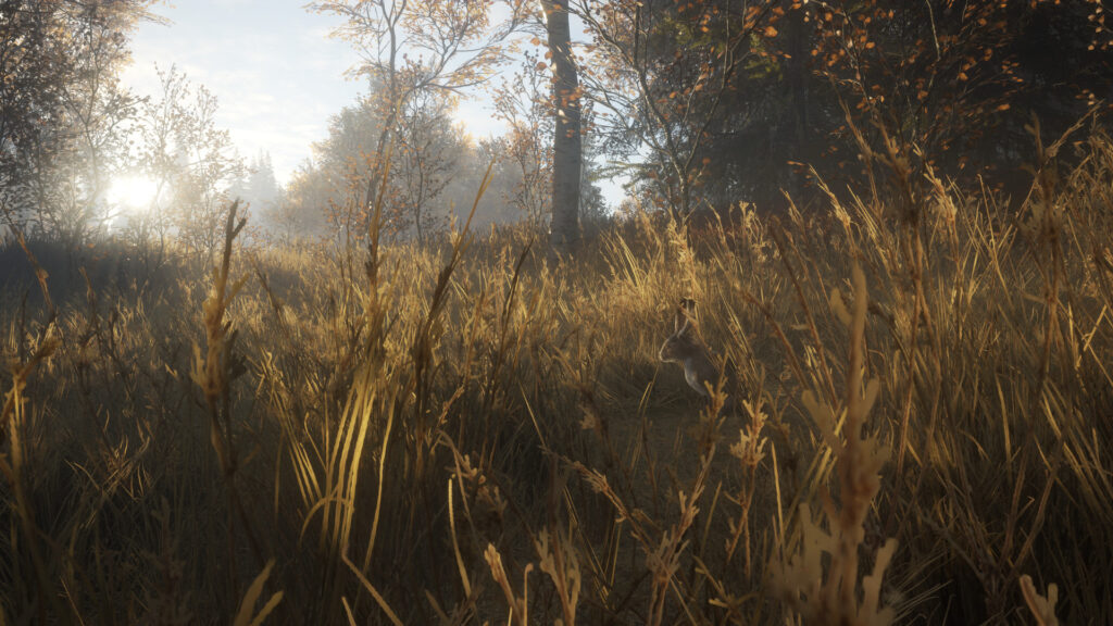 《猎人：野性的召唤/猎人：荒野的呼唤/支持网络联机/theHunter: Call of the Wild》V20240313-P2P|集成56个DLC||官中|支持键鼠.手柄|赠满财富技能小屋位置存档|容量89.1GB-棋牌资源站