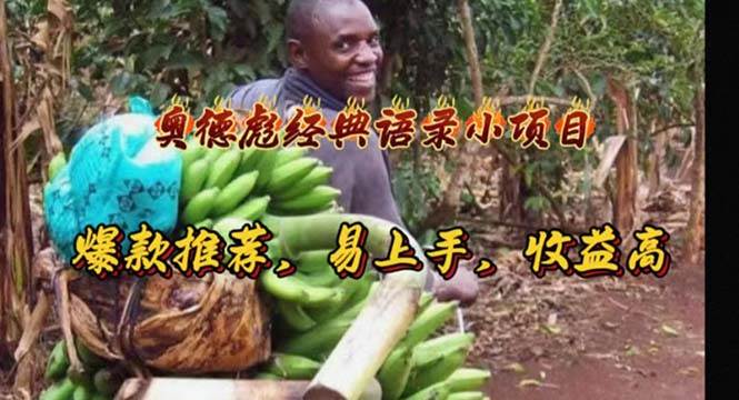 奥德彪经典语录小项目，爆款推荐，易上手，收益高-棋牌资源站