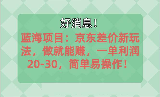 越早知道越能赚到钱的蓝海项目：京东大平台操作，做就能赚，一单利润20-30，简单易操作！-棋牌资源站