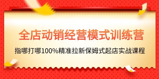 全店动销-经营模式训练营，指哪打哪100%精准拉新保姆式起店实战课程-棋牌资源站