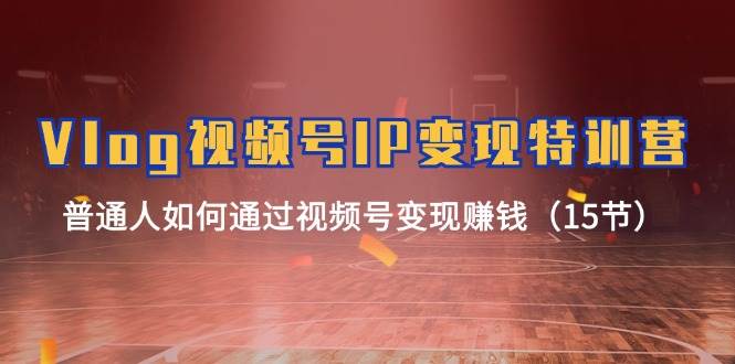 Vlog 视频号IP变现特训营，普通人如何通过视频号变现赚钱（15节）-棋牌资源站
