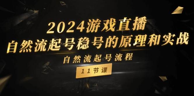 2024游戏直播-自然流起号稳号的原理和实战，自然流起号流程（11节）-棋牌资源站