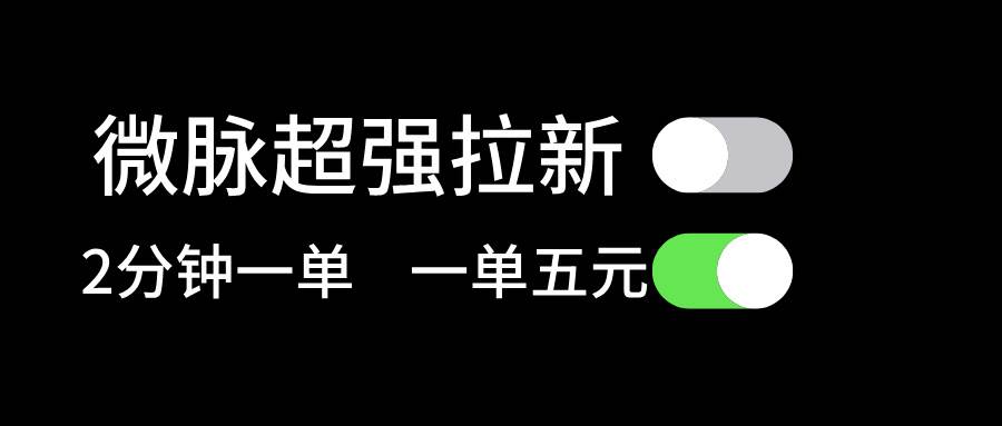 微脉超强拉新， 两分钟1单， 一单利润5块，适合小白-棋牌资源站