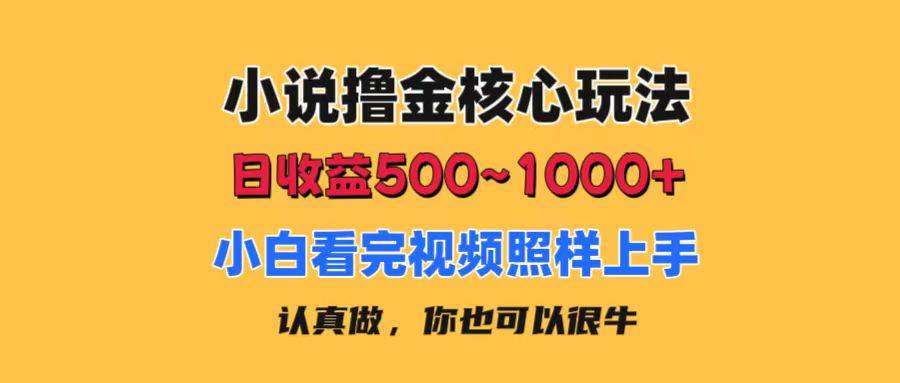 小说撸金核心玩法，日收益500-1000+，小白看完照样上手，0成本有手就行-棋牌资源站