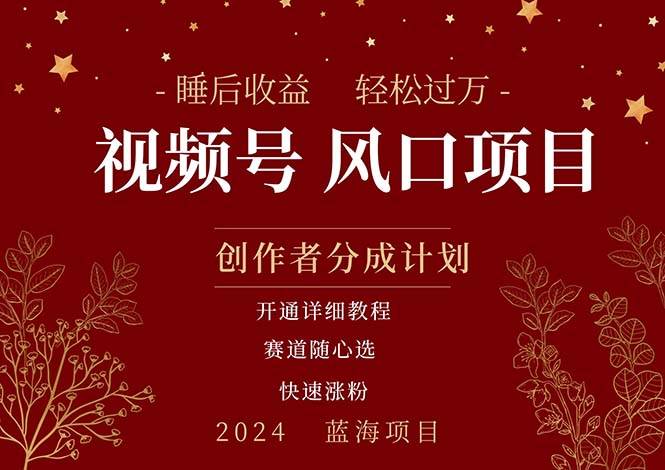 拥有睡眠收益的微信视频号大风口项目，轻松月入过万+，多赛道选择-棋牌资源站