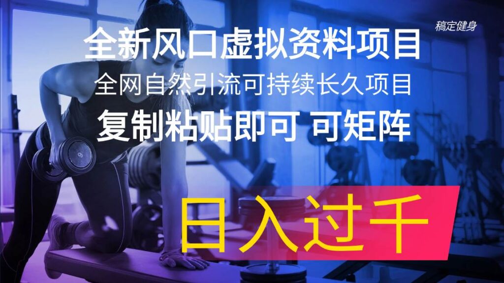 全新风口虚拟资料项目 全网自然引流可持续长久项目 复制粘贴即可可矩阵-棋牌资源站